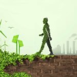 oman_solar_systems_llc_cover