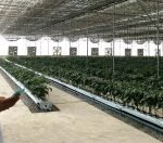 thumbnailb564cea0e6685c50292507f1443ba117_52