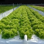 thumbnailb7ff365f51eb90d370d4b2b6d8c4f42b_62